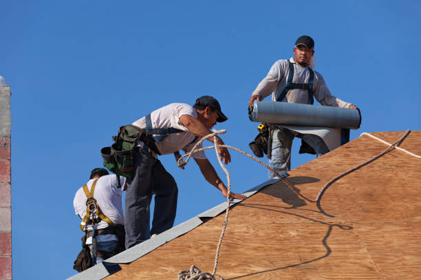Best New Roof Installation  in Danville, IA